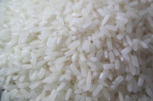 فروشگاه اینترنتی برنج